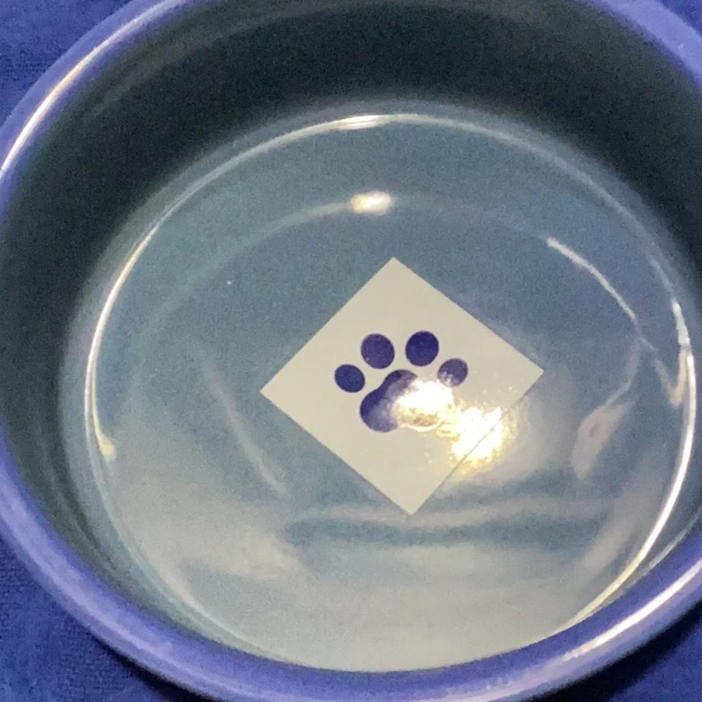 Castlemere Blue Plaid Pet Bowl (7” round, 2” deep)